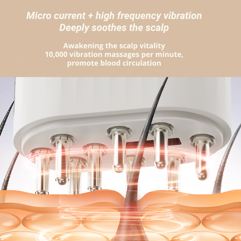 Multifunction Scalp Massager with Hair Oil Applicator