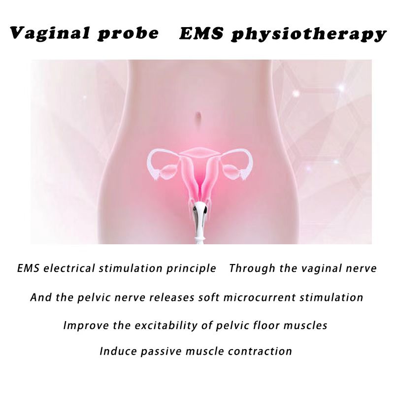 Kegel Pelvic Floor Trainer with Biofeedback EMG – Incontinence Relief