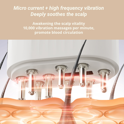 Multifunction Scalp Massager with Hair Oil Applicator