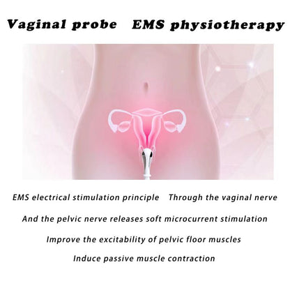 Kegel Pelvic Floor Trainer with Biofeedback EMG – Incontinence Relief